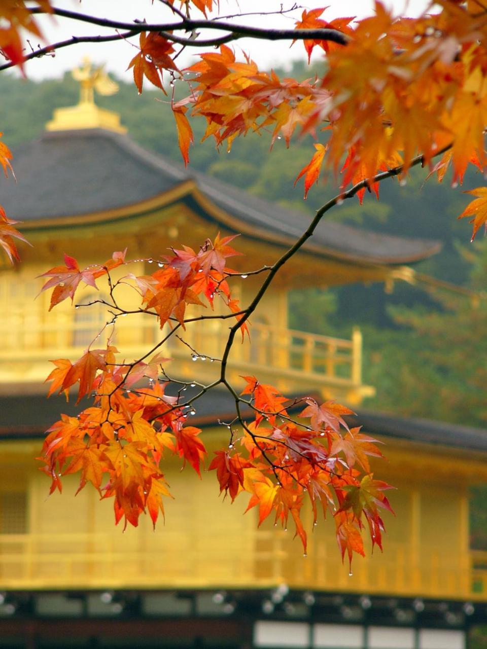 Ben'S Guesthouse Kyoto Exterior foto